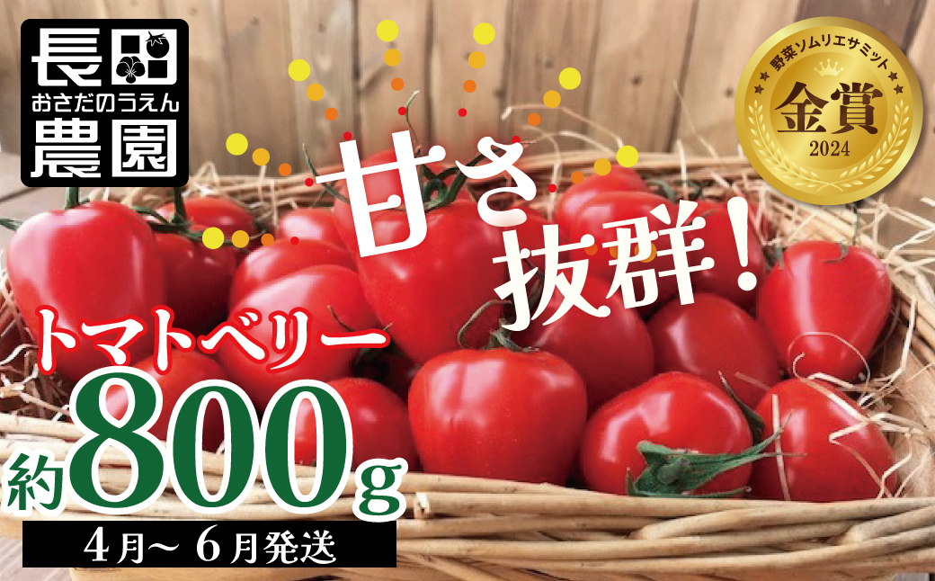 【2026年度予約分】【お試し】幻のミニトマト🍅トマトベリー約800g 長田農園 野菜ソムリエサミット 金賞 受賞 産地直送 トマト とまと 野菜 やさい フルーツ サラダ 濃厚 甘い ご褒美 プレゼント 美容 健康 リピート多数 人気 高評価 先行受付 数量限定 碧南市 H004-114