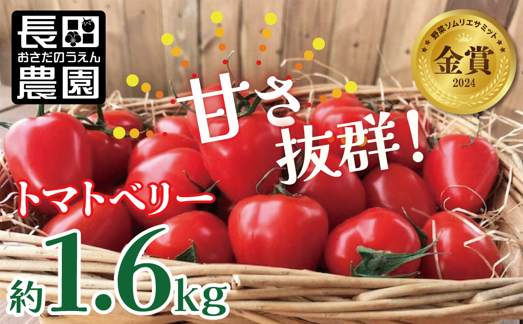 【2026年度予約分】甘さ抜群!トマト嫌いでも食べられるトマトベリー 約1.6kg 野菜ソムリエサミット 金賞 受賞 長田農園 産地直送 トマト とまと 野菜 やさい フルーツ サラダ 濃厚 甘い ご褒美 プレゼント 美容 健康 リピート多数 人気 高評価 先行受付 数量限定 碧南市 H004-116_Feb