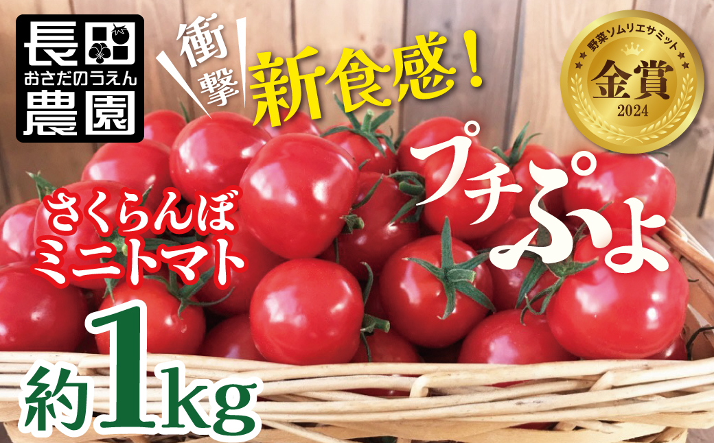 【2026年発送】衝撃の一粒!!奇跡のさくらんぼミニトマト(プチぷよ) 約1kg 野菜ソムリエサミット 金賞 受賞 長田農園 産地直送 トマト とまと 野菜 やさい フルーツ サラダ 濃厚 甘い ご褒美 プレゼント 美容 健康 リピート多数 人気 高評価 数量限定 碧南市 H004-118_Apr