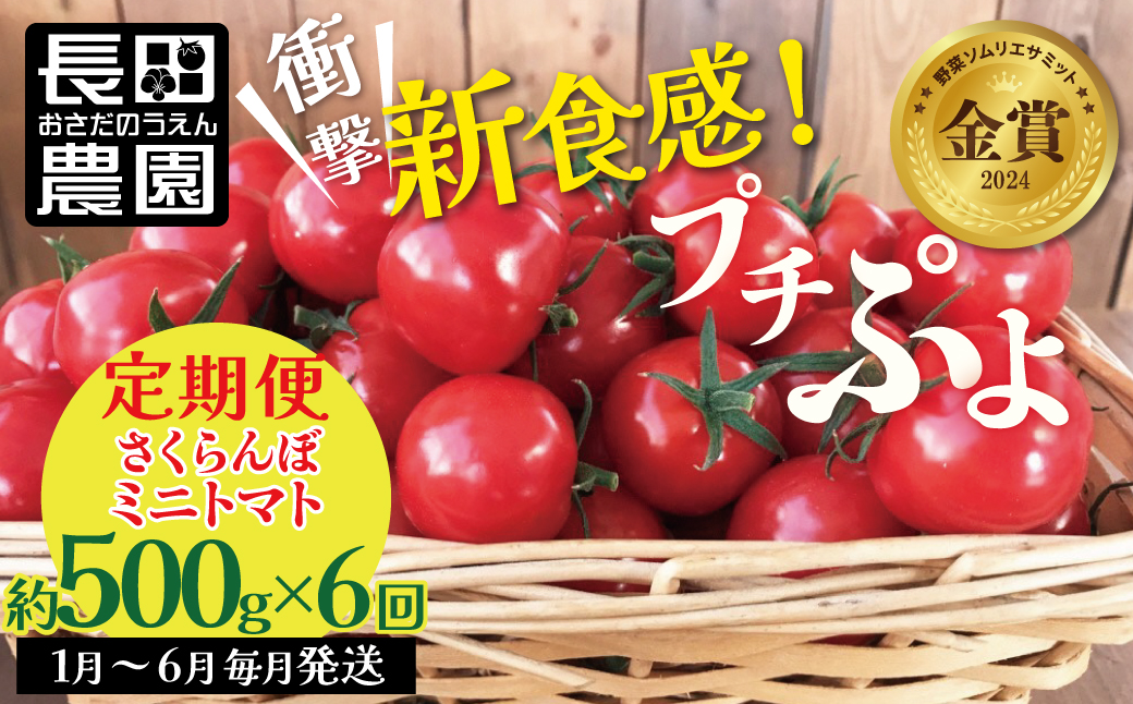 新食感!!奇跡のさくらんぼミニトマトの定期便 約500g×6回コース　H004-139