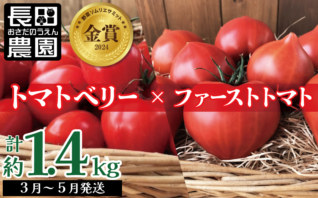 【2026年度予約分】【人気No.1セット】ファンにならずにいられない ファーストトマト＆トマトベリー 計約1.4kｇ（3月～5月で発送）　H004-149