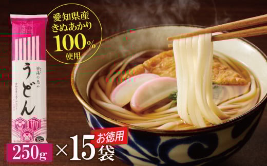 【乾麺】碧海の恵み うどん 愛知県産 徳用セット3.75kg(250g×15袋)　H008-225