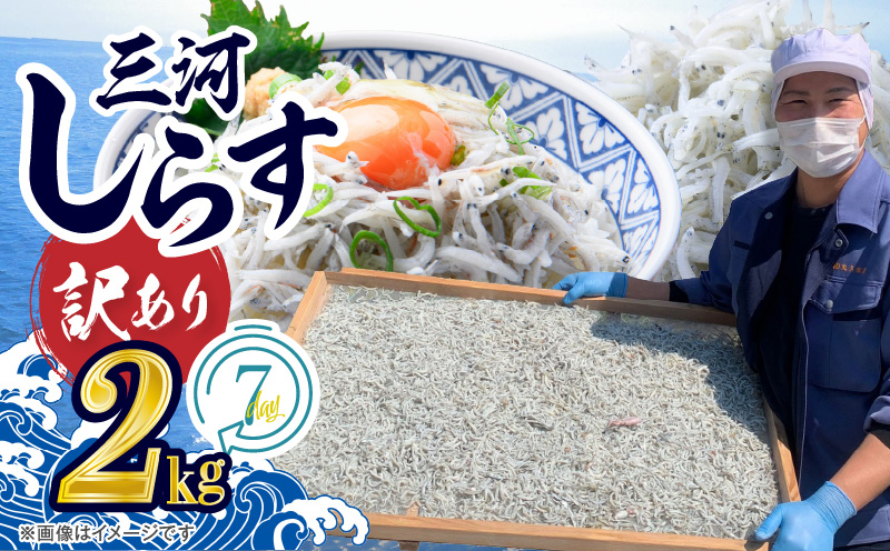 【12月24日受付分まで年内発送】訳あり しらす干し 三河しらす 国産 1kg × 2 計 2kg 新鮮 しらす 釜茹で うま味 濃縮 塩分 控えめ まろやかな味わい やみつき ご飯のお供 おつまみ 酒の肴 しらす丼 サラダ 魚 海産物 冷凍 お取り寄せ グルメ 食品 愛知県 碧南市 送料無料 H018-040