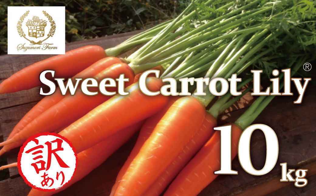 メディア出演多数！！ 【期間限定】（訳あり）鈴盛農園の甘～いにんじん 『スウィートキャロットリリィ』 10kg 人参 甘い ご家庭用 ジュース サラダ スムージー ジューシー 安心 H022-020