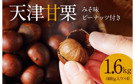 この道50年の職人が焼く､やさしい甘みたっっっぷり！｢天津甘栗｣ 1.6kg みそ味ピーナッツ付き 焼きたて 栗 くり 栗爪 殻付き お菓子 おつまみ 人気 高リピート 小分け 栗ご飯 栗きんとん 甘露煮 H045-052