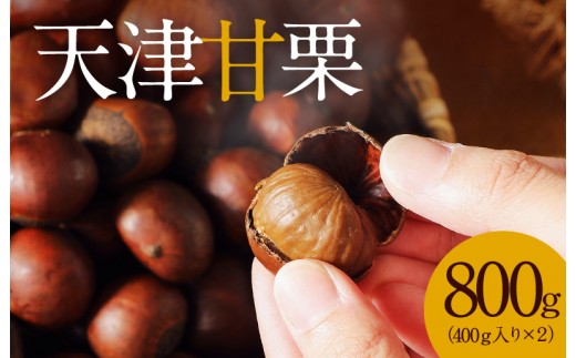 この道50年の職人が焼く、やさしい甘みたっぷりの「天津甘栗」 800g ！ 焼きたて 栗 くり 栗爪 殻付き お菓子 おつまみ 人気 高リピート 小分け 栗ご飯 栗きんとん 甘露煮 H045-053