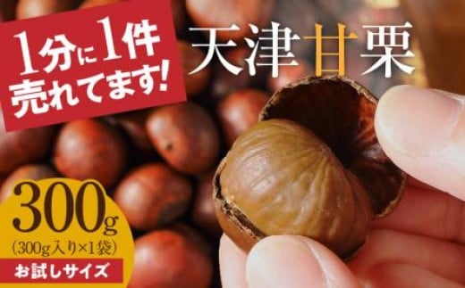 【お試し】この道50年の職人が焼く、やさしい甘みたっぷりの「天津甘栗」300g！ 焼きたて 栗 くり 栗爪 殻付き お菓子 おつまみ 人気 高リピート 小分け 栗ご飯 栗きんとん 甘露煮 H045-068