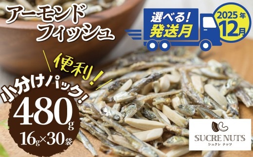 （数量限定）【2025年 年内発送】 手軽に健康習慣 小分けのこざかなアーモンド カシューナッツ入り 480g(16gｘ30袋) おうち時間 おやつ 大満足 美容 健康 栄養豊富 人気 高リピート ナッツ H059-121_Dec