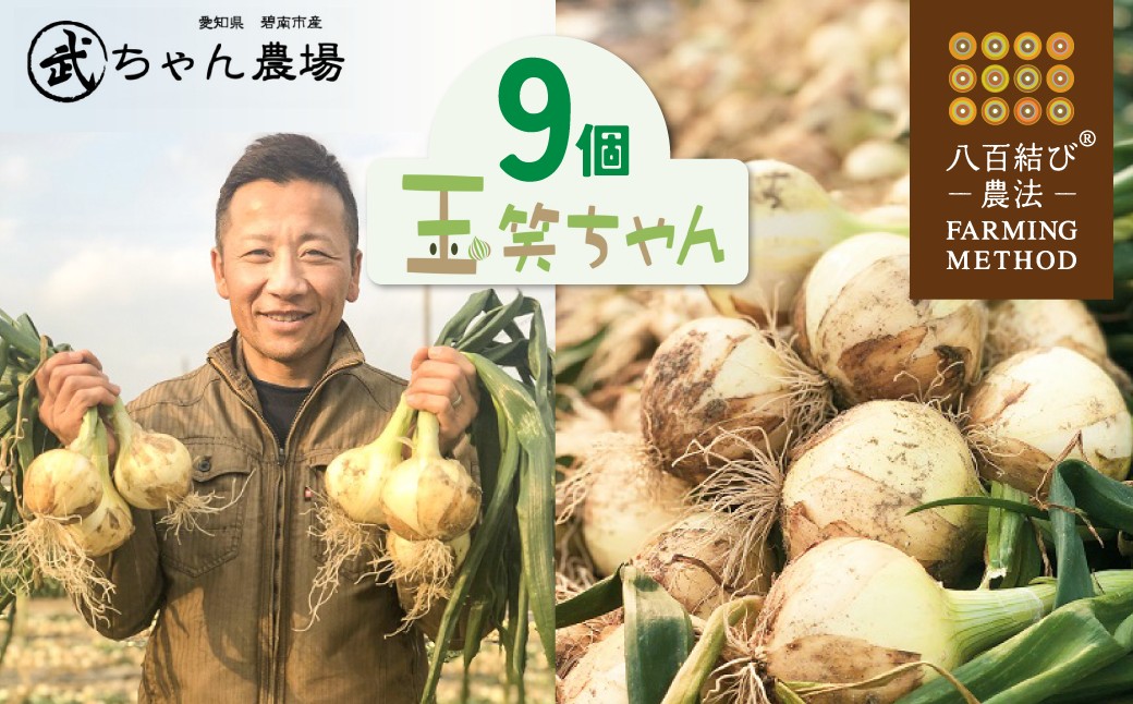 【2026年発送】笑顔で笑顔を作る武ちゃん農場の新玉ねぎ“玉笑ちゃん” 9個　H095-029