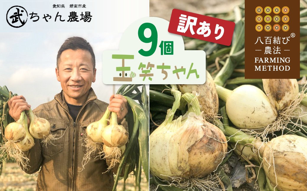 【2026年発送】【食品ロス削減】（訳あり）笑顔で笑顔を作る武ちゃん農場の新玉ねぎ“玉笑ちゃん” 9個　H095-030