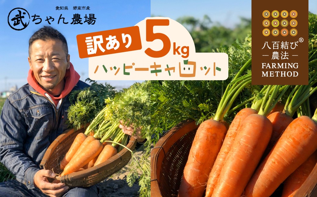 【食品ロス削減】甘さと栄養で体も笑う武ちゃん農場の“ハッピーキャロット” 5㎏　H095-022