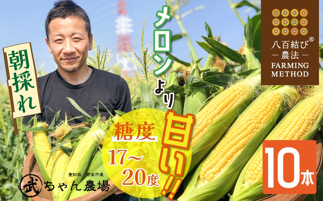 【2026年発送】朝採り直送 メロンより甘い 生とうもろこし“にっこりコーン” 10本　H095-026