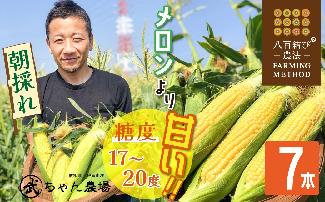 【2026年発送】朝採り直送 メロンより甘い 生とうもろこし“にっこりコーン” 7本 H095-027