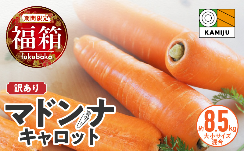 ＜フジテレビ『どっちのふるさと？』で紹介されました！＞ 福箱★2026 訳あり 野菜 にんじん マドンナキャロット 8.5kg 大小サイズ混合 国産 不揃い こどもも食べられる 甘み 料理 キャロット ジュース 野菜ジュース 福袋 愛知県 碧南市 お取り寄せ 送料無料 H105-168