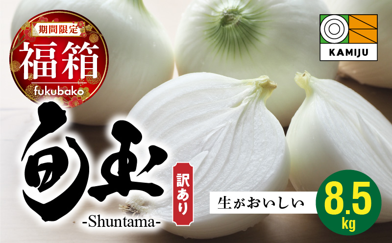【福箱★2026】訳あり 新玉ねぎ 旬玉８.5kg 生がおいしい神重農産のブランド玉ねぎ H105-169