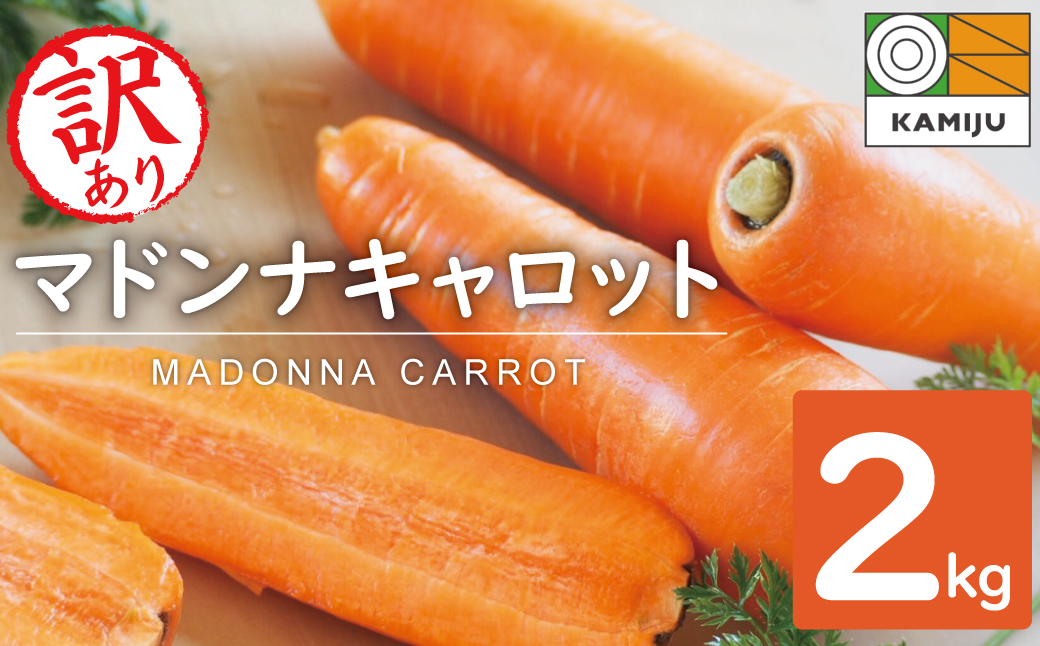 ＜フジテレビ『どっちのふるさと？』で紹介されました！＞ 訳あり 冬期限定 にんじん マドンナキャロット 容量 2kg 先行予約 国産 甘い フルーツのような味わい お子様にもおすすめ 栄養 神重農産 野菜 愛知県 碧南市 送料無料 H105-134