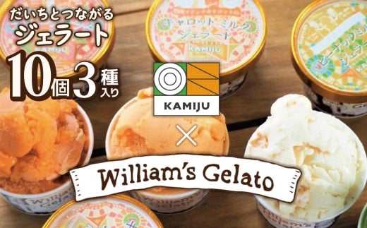 【3種のフレーバーを食べ比べ!!】だいちとつながるジェラート10個セット 映えるデザインが可愛いと話題に!! マドンナキャロット 地元野菜 甘い アイス スイーツ デザート 洋菓子 可愛い 詰め合わせ キャロットミルク フルーツサラダ ピーナッツミルク 自慢 冷たい にんじん 人参 落花生 ピーナッツ 農家 神重農産 H105-171