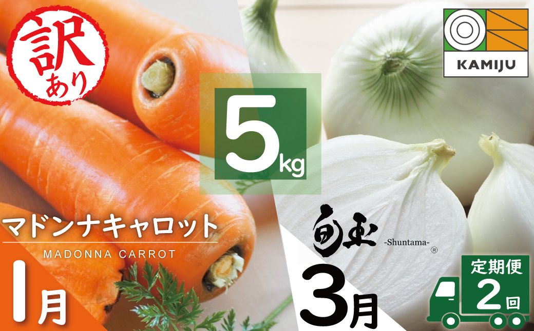 〈フジテレビ『どっちのふるさと？』で紹介されました！〉訳あり にんじん 新玉ねぎ 定期便 2回　旬の美味しい季節にお届け マドンナキャロット 人参 ニンジン 旬玉 玉ねぎ たまねぎ 野菜 やさい 国産 碧南市 健康 食品ロス削減 甘い 先行予約 旬 特産 高評価 高リピート 人気　H105-131