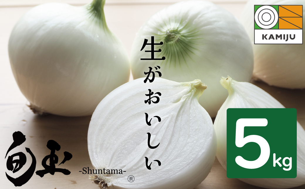 (2026年発送)新玉ねぎ 生がおいしい 神重農産のブランド玉ねぎ「旬玉」5kg ブランド玉ねぎ 玉ねぎ 国産 愛知県産 野菜 やさい 農家直送 畑直送 旬 期間限定 たまねぎ 先行予約 旬 特産 高評価 高リピート 人気 H105-148