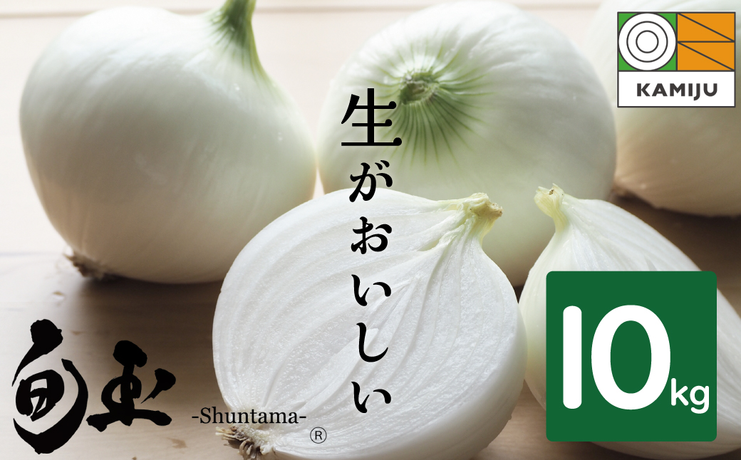 (2026年発送)新玉ねぎ 生がおいしい 神重農産のブランド玉ねぎ「旬玉」10㎏ ブランド玉ねぎ 玉ねぎ 国産 愛知県産 野菜 やさい 農家直送 畑直送 旬 期間限定 たまねぎ 先行予約 旬 特産 高評価 高リピート 人気 H105-149