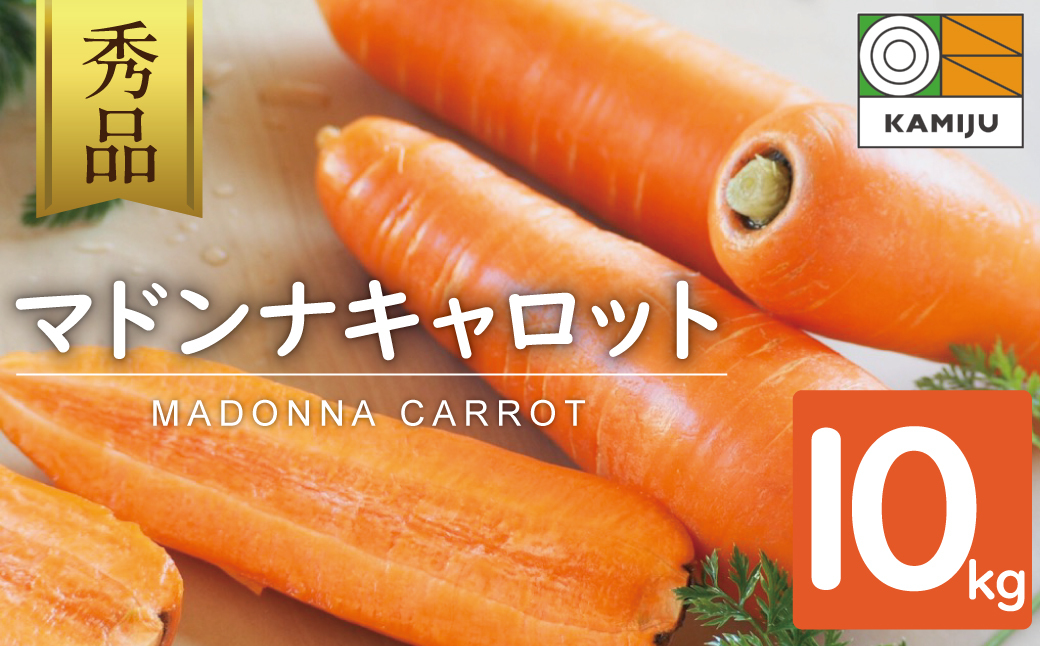 〈フジテレビ『どっちのふるさと？』で紹介されました！〉こどもも食べられる甘み！ジュースにしても美味しい！「マドンナキャロット」 10kg にんじん 野菜 H105-123