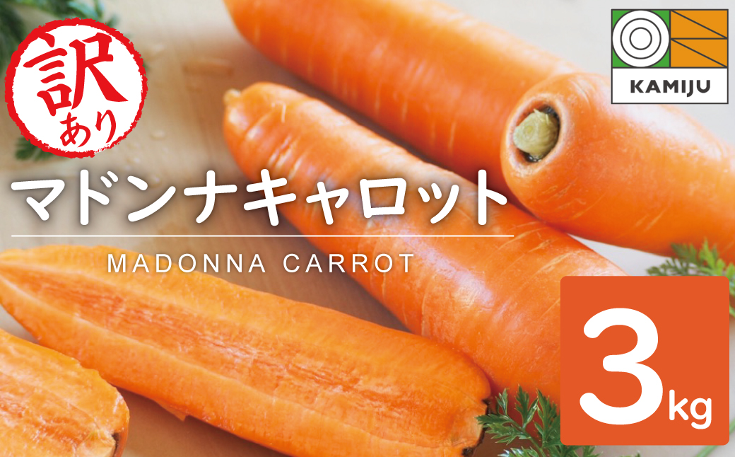 ＜フジテレビ『どっちのふるさと？』で紹介されました！＞ 訳あり 冬期限定 にんじん マドンナキャロット 容量 3kg 先行予約 国産 甘い フルーツのような味わい お子様にもおすすめ 栄養 神重農産 野菜 愛知県 碧南市 送料無料 H105-155