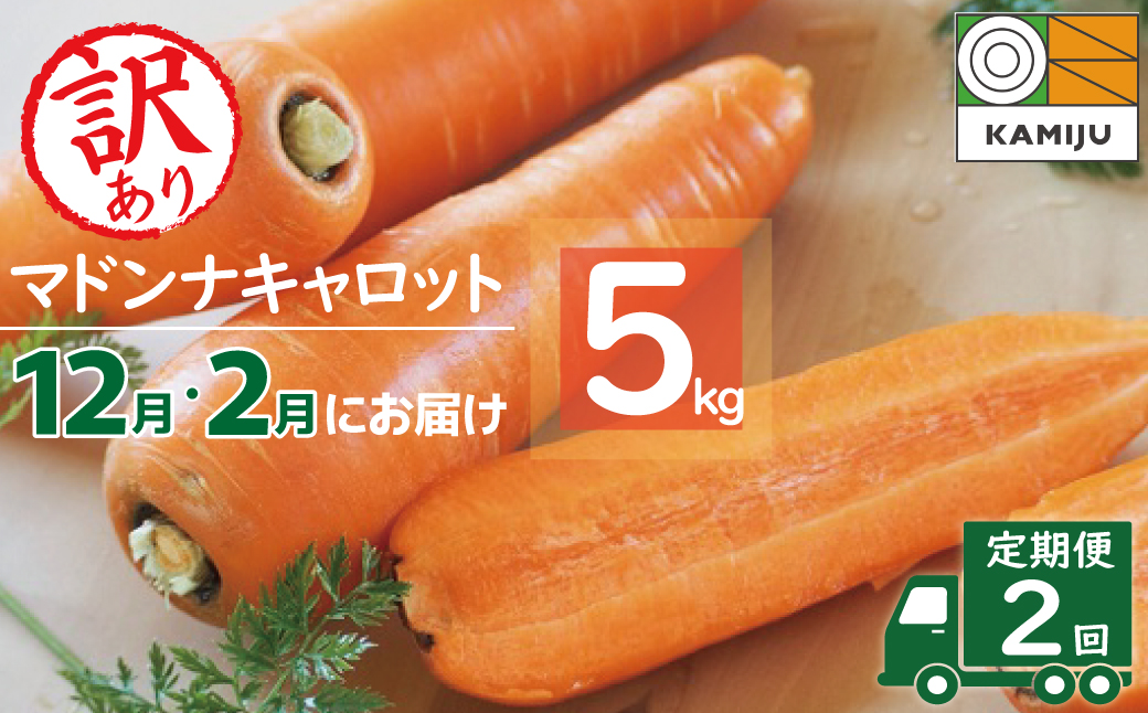 【予約受付】＜フジテレビ『どっちのふるさと？』で紹介されました！＞訳あり 隔月2回定期便 にんじん 12月・2月お届け マドンナキャロット にんじん 人参 ニンジン 野菜 やさい 国産 碧南市 健康 食品ロス削減 甘い 先行予約 旬 特産 高評価 高リピート 人気 隔月 2026年度発送 H105-170