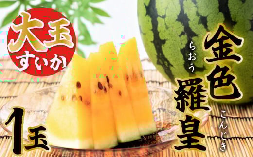 【2026年発送】甘さを追求したすいか「金色羅皇」1玉 すいか 甘い すいか1玉 果物 フルーツ　H141-014