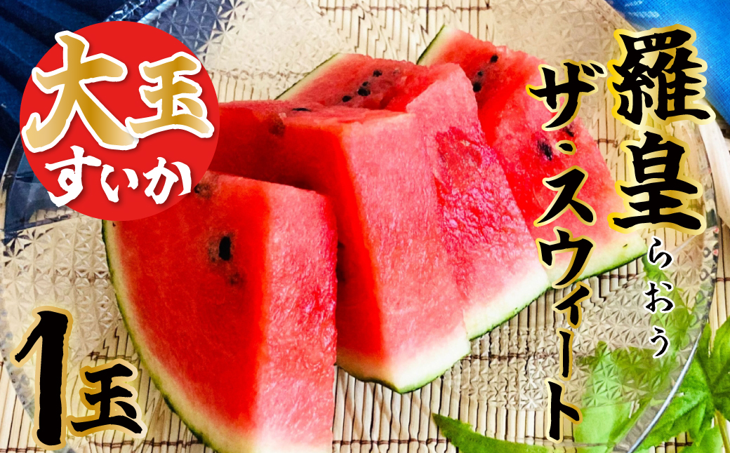 【2026年発送】深く甘いコク感と強いシャリ感「羅皇ザスウィート」1玉 すいか 甘い すいか1玉 果物 フルーツ　H141-015