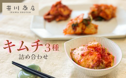 3種キムチ詰め合わせ （本格白菜キムチ・ニンニク無し白菜キムチ・大根キムチ） 計6P（3種×2P） 食べ比べ 手作り 無添加 本格 発酵食品 健康食品 キムチ 白菜 大根 漬物 H147-006