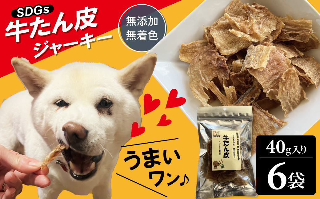 愛犬のおやつ 牛たん皮 40ｇ×6個入り 無添加 無着色 安心 国内生産 愛犬 おやつ ワンちゃん わんこ 喜ぶ ジャーキー SDGｓ H160-011