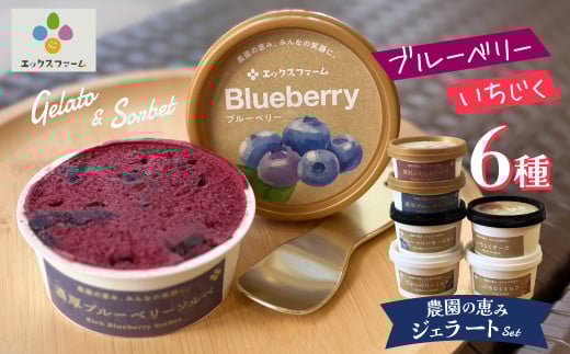 甘熟いちじくとブルーベリーのプレミアムジェラートセット 各1個 碧南市産 甘熟 いちじく 完熟 ブルーベリー 贅沢 スイーツ デザート おやつ カップ 6種 食べ比べ チーズ ミルク ヨーグルト H164-012