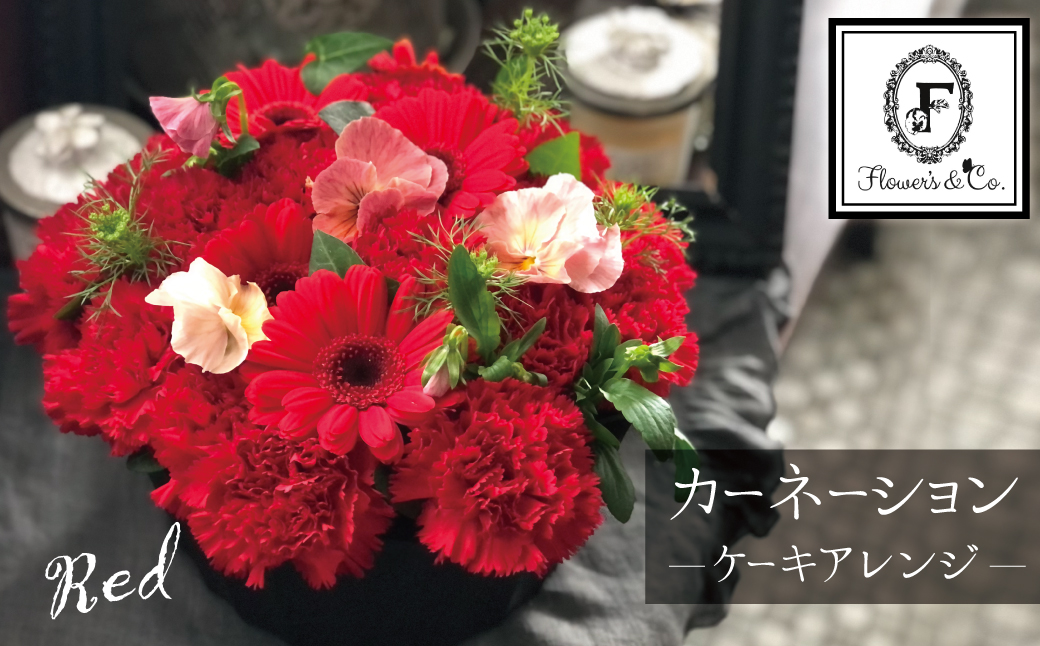 【花瓶いらず！】レッドカーネーションでふわもこケーキのようなフラワーアレンジ！ そのまま飾れる プレゼント 贈り物 還暦 記念日 お誕生日 お祝い 母の日 H174-004