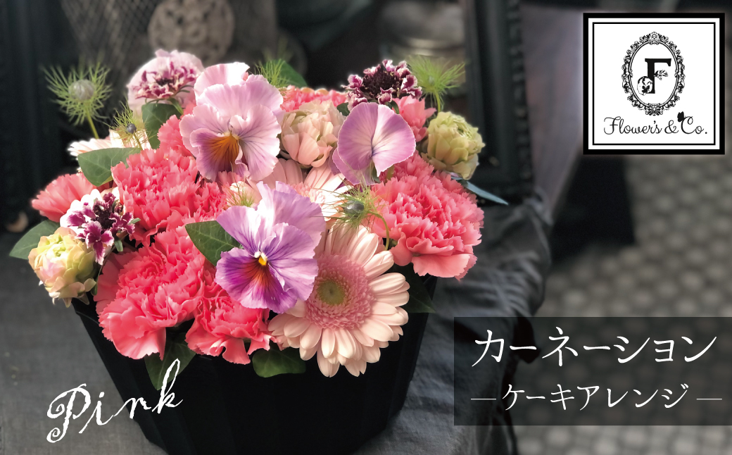 【花瓶いらず！】ピンクカーネーションでふわもこケーキのようなフラワーアレンジ！ そのまま飾れる プレゼント 贈り物 還暦 記念日 お誕生日 お祝い 母の日 H174-005