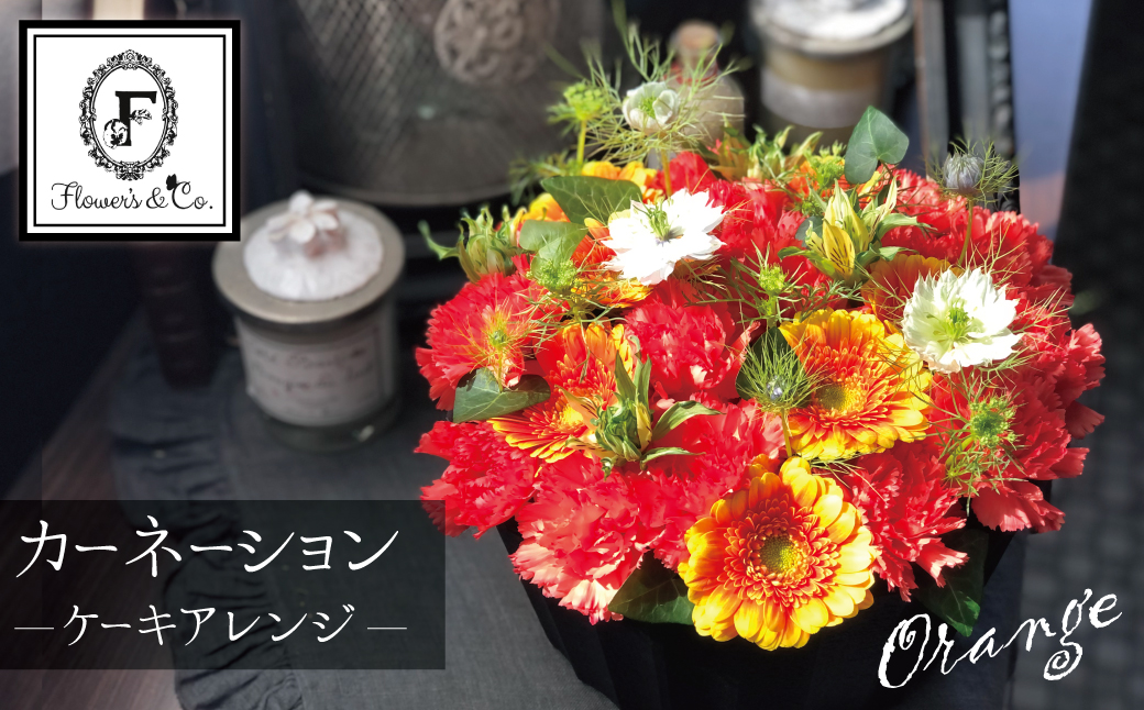 【花瓶いらず！】オレンジカーネーションでふわもこケーキのようなフラワーアレンジ！ そのまま飾れる プレゼント 贈り物 還暦 記念日 お誕生日 お祝い 母の日 H174-006