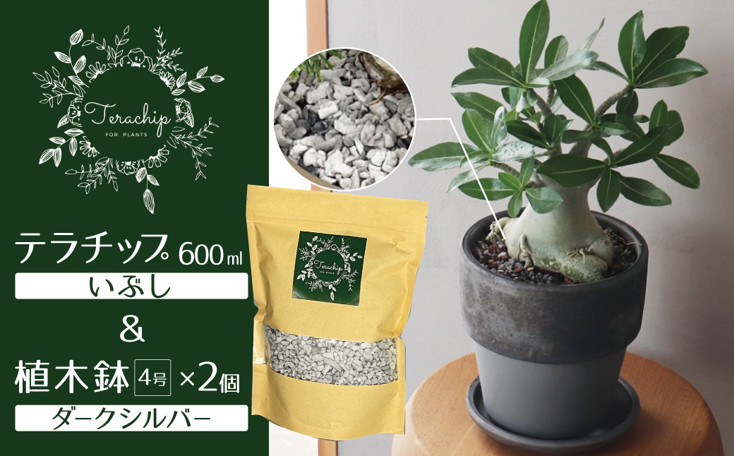 三河焼 植木鉢 ダークシルバー【テラチップいぶし】プランター お手軽 植物栽培セット H188-001: 碧南市ANAのふるさと納税