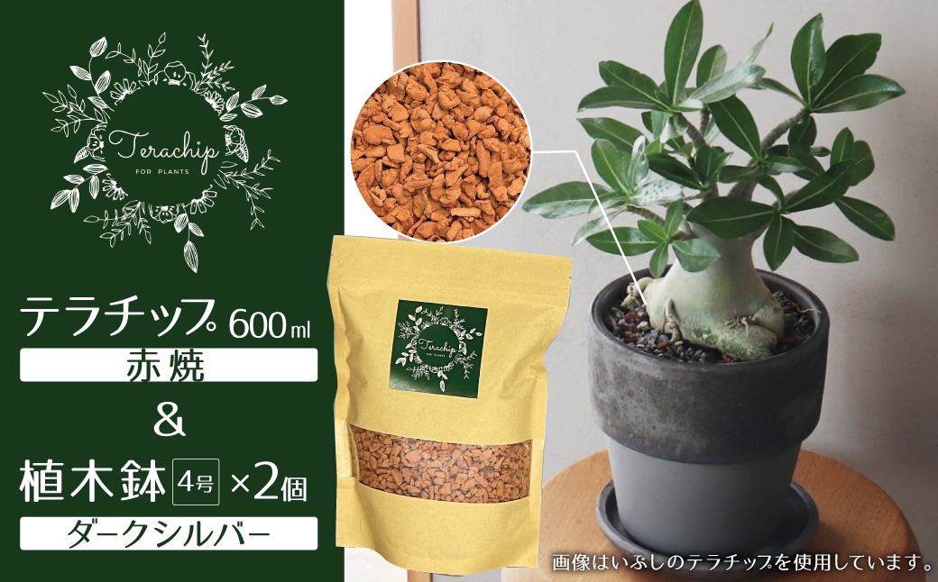 三河焼植木鉢ダークシルバー【テラチップ赤焼】プランター お手軽植物栽培セット 園芸 粘土 鉢 植物 土 シルバー 銀 赤 H188-002