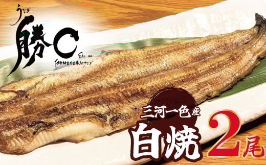【備長炭で焼く“いい焦がし”】三河一色産うなぎの白焼 2尾 鰻 ウナギ 白焼き 国産 備長炭 土用 丑の日 冷凍 三河一色産 H189-011