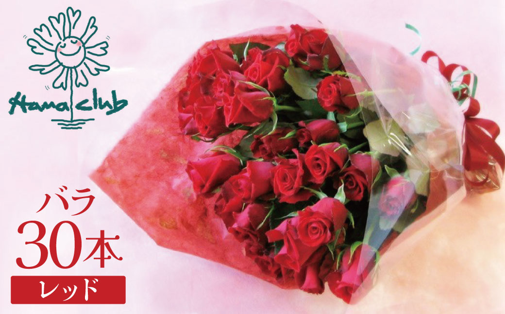 【ラッピング付】生花 レッド バラの花束 30本 日付指定可能 赤 薔薇 ローズ ギフト プレゼント ラッピング インテリア お花 フラワー  H193-017