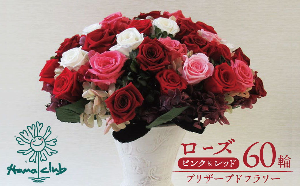 【日付指定可能】プリザーブドフラワーローズ（ピンク＆レッド）60輪のアレンジメント 薔薇 バラ ギフト プレゼント ラッピング 産地直送 インテリア お花 フラワー ボリューム満点 H193-020