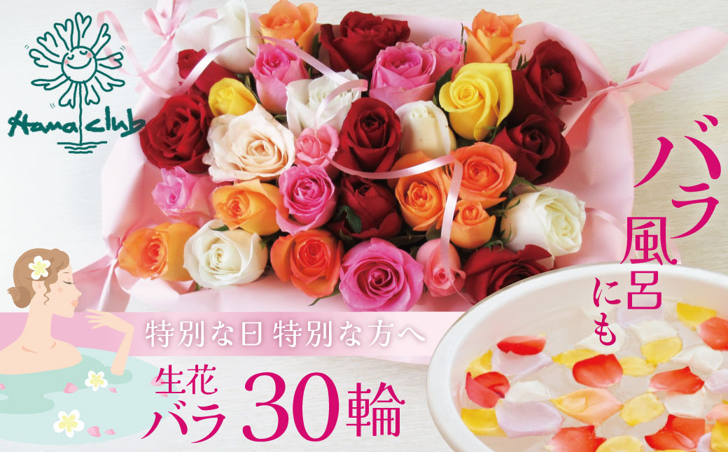 〈日付指定も可能〉 観賞はもちろん！バラ風呂やフラワーシャワーに！ ローズインにゅーよーくミックス３０輪 バラ３０輪詰め合わせ 風呂 薔薇 ローズ ギフト プレゼント ラッピング インテリア お花 フラワー H193-021