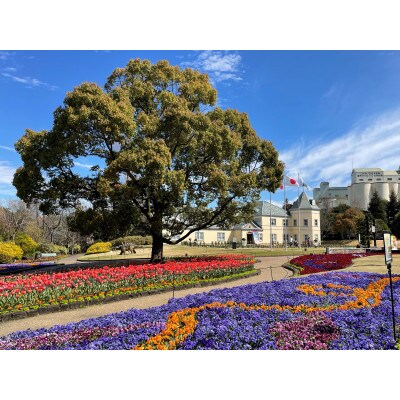 安城産業文化公園デンパーク　入園チケット(4名様分)