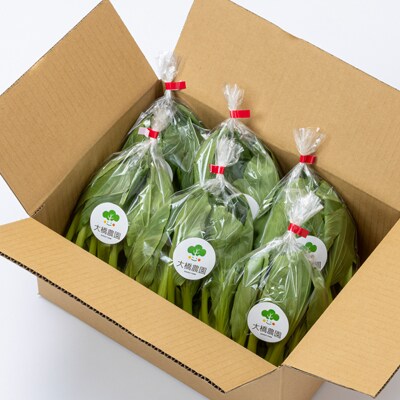 大橋農園のベビーチンゲン菜:3株入り×6袋【配送不可地域：離島】