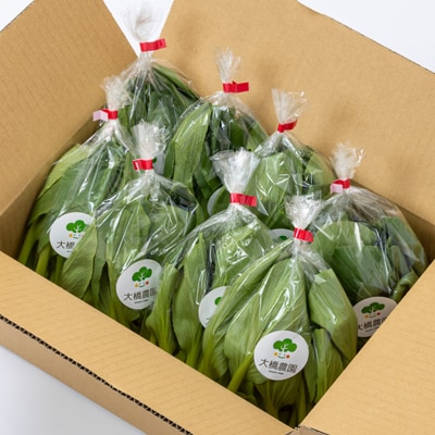 大橋農園のベビーチンゲン菜:3株入り×8袋【配送不可地域：離島】