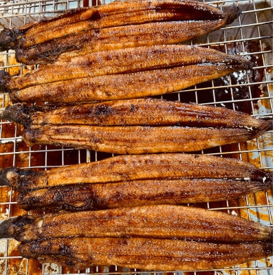 三河一色産　うなぎ蒲焼　2尾　【配送不可地域：離島】