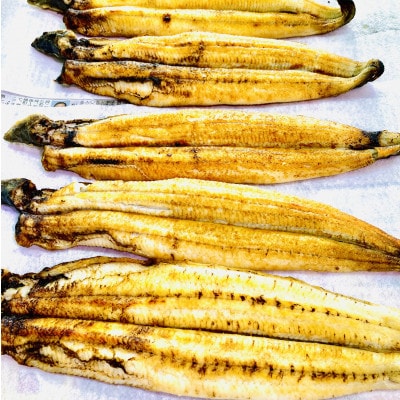 三河一色産　うなぎ白焼き　2尾【配送不可地域：離島】