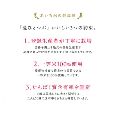 愛知県産 ブランド米「愛ひとつぶ」パックご飯 150g×36パック