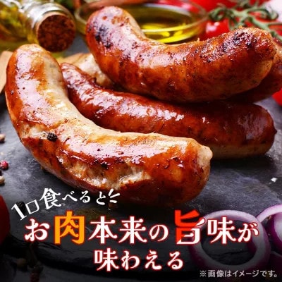 「贅沢11種類」ソーセージ食べ比べセット 11種 計990g (豚肉を楽しむ) 安城ハム【配送不可地域：離島】