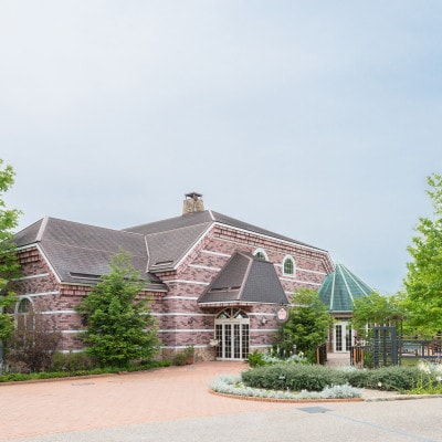 DENZOOLAND飲み比べ8本詰め合わせセット【配送不可地域：離島】