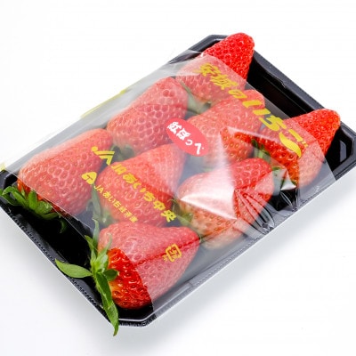 【碧海そだち】安城いちご『紅ほっぺ』＆『ゆめのか』食べ比べセット　計4パック【配送不可地域：離島・北海道・沖縄県】